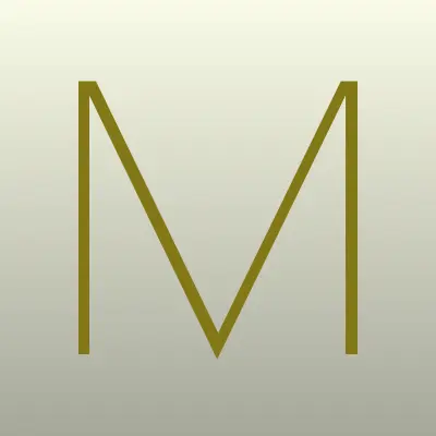 Мегаполис, филиал в г. Владикавказе, лого-визитка