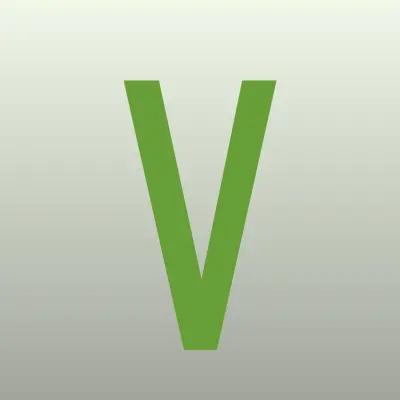 Виза Мастерс